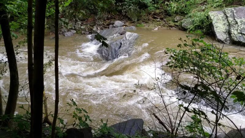 Torrey C. Brown Rail Trail - Parkton, MD