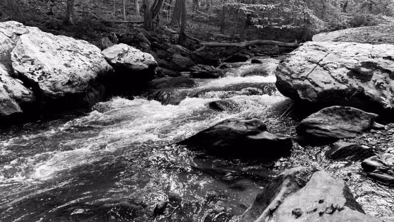 Torrey C. Brown Rail Trail - Parkton, MD