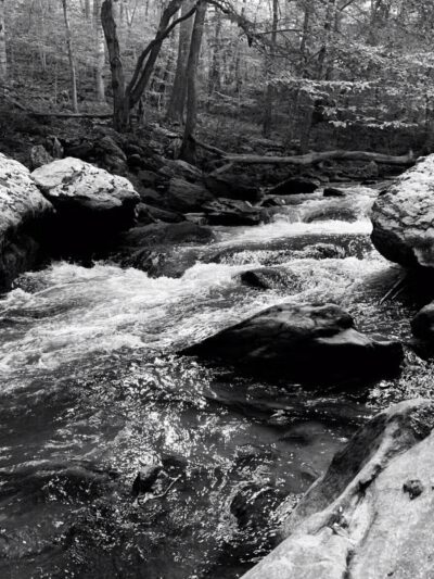 Torrey C. Brown Rail Trail - Parkton, MD