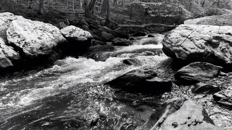 Torrey C. Brown Rail Trail - Parkton, MD
