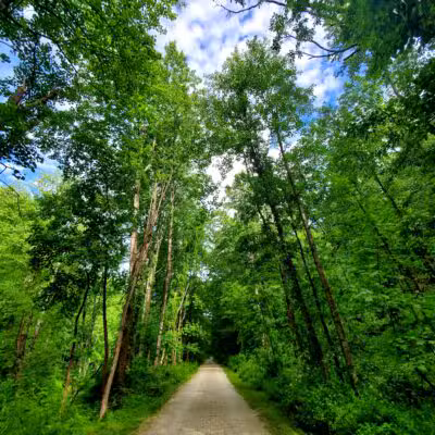 Torrey C. Brown Rail Trail - Parkton, MD
