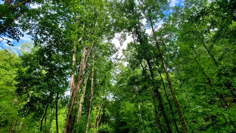 Torrey C. Brown Rail Trail - Parkton, MD