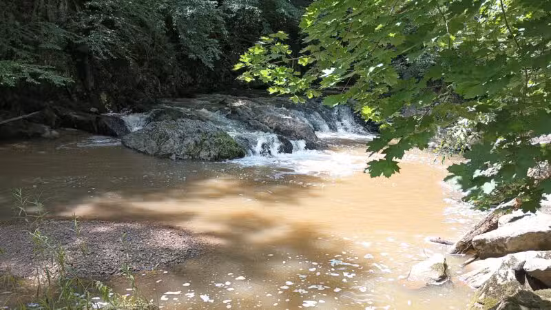 Torrey C. Brown Rail Trail - Parkton, MD