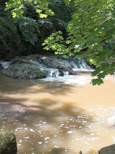 Torrey C. Brown Rail Trail - Parkton, MD