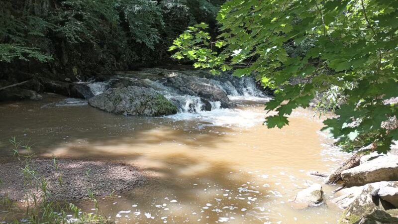 Torrey C. Brown Rail Trail - Parkton, MD