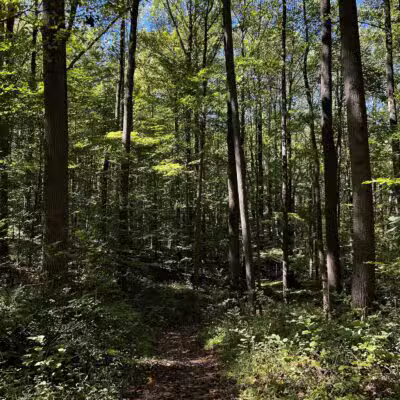 Cromwell Valley Park - Parkville, MD