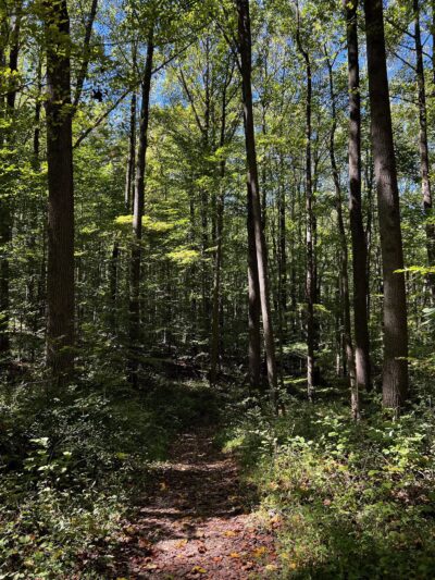 Cromwell Valley Park - Parkville, MD