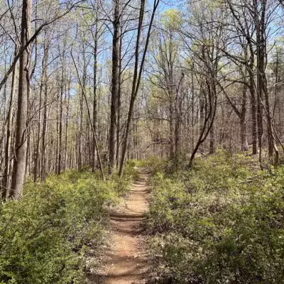 Cromwell Valley Park - Parkville, MD