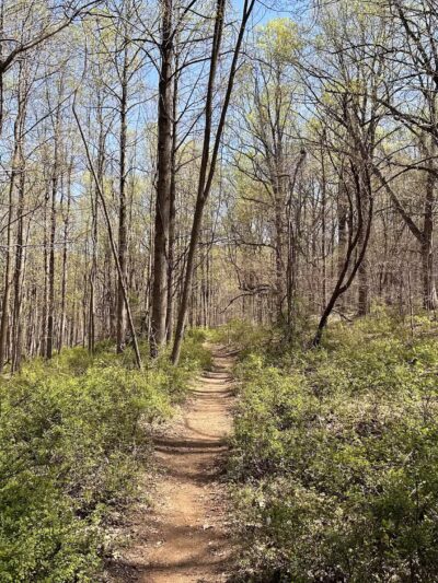 Cromwell Valley Park - Parkville, MD
