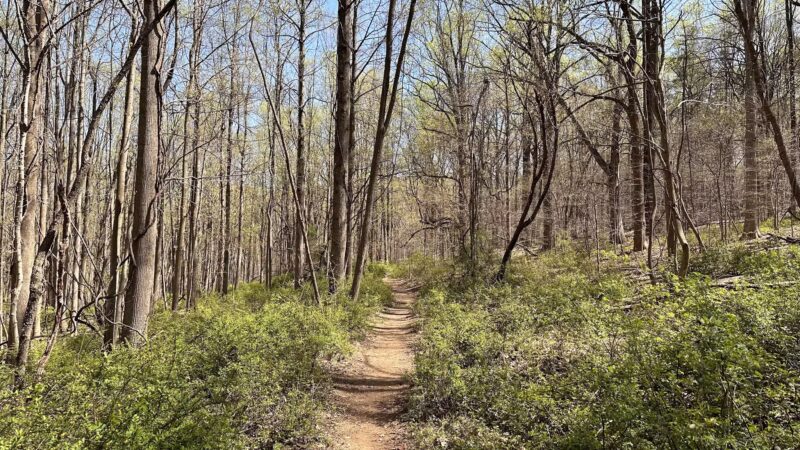 Cromwell Valley Park - Parkville, MD