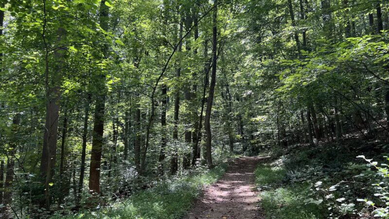 Cromwell Valley Park - Parkville, MD