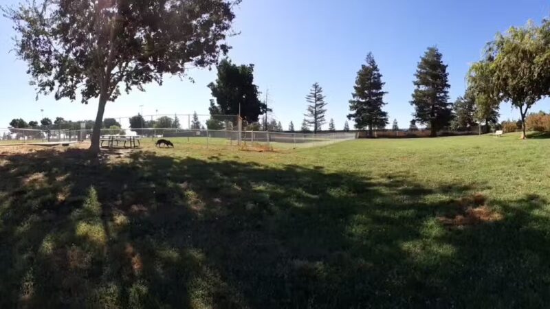 Patterson Dog Park - Patterson, CA