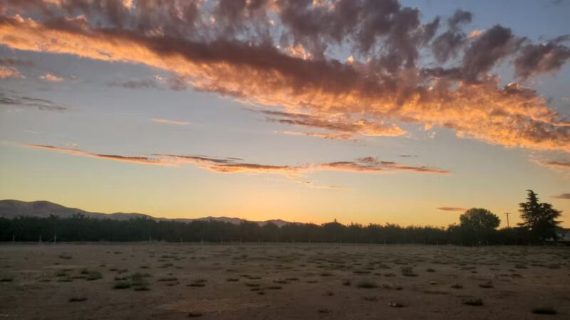 Patterson Dog Park - Patterson, CA