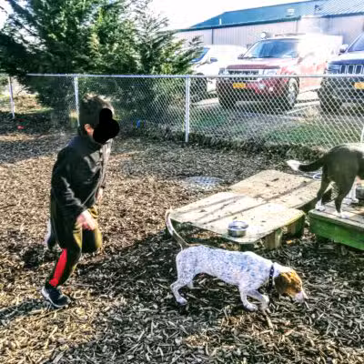 Southold Dog Park - Peconic, NY