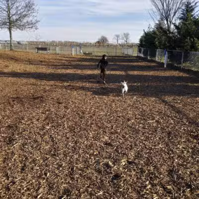 Southold Dog Park - Peconic, NY