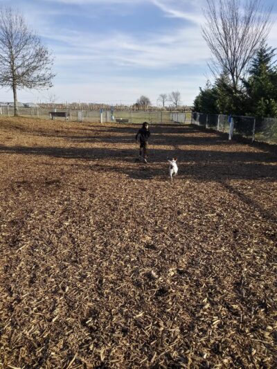 Southold Dog Park - Peconic, NY