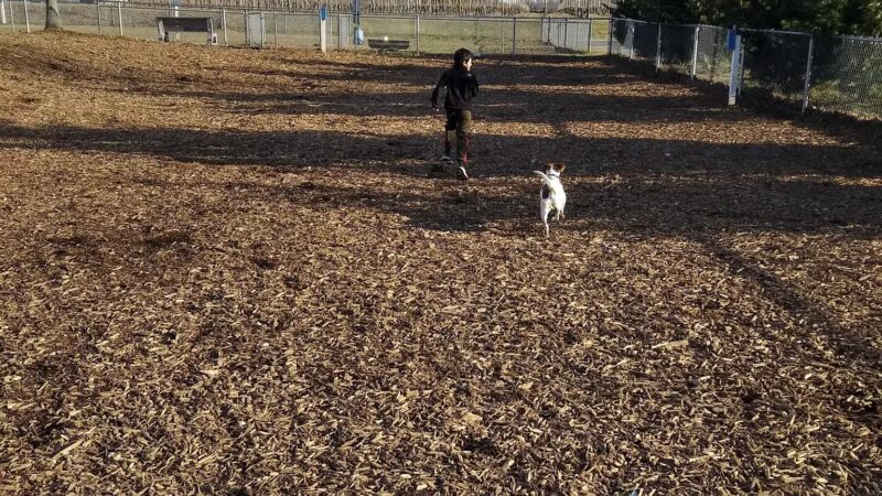 Southold Dog Park - Peconic, NY