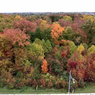 Gough Park - Perry Hall, MD