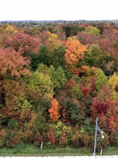 Gough Park - Perry Hall, MD