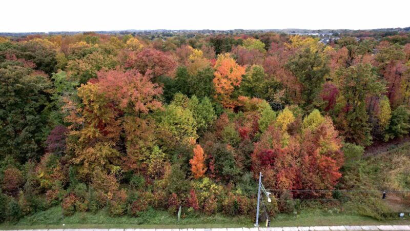 Gough Park - Perry Hall, MD