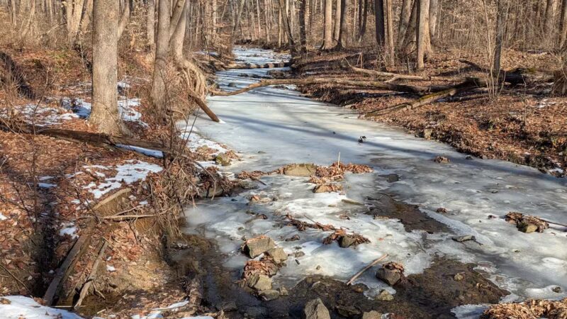 Honeygo Run Regional Park and Community Center - Perry Hall, MD