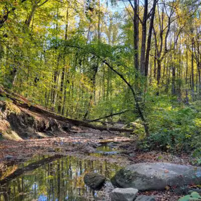 Honeygo Run Regional Park and Community Center - Perry Hall, MD