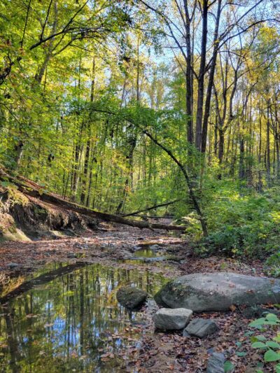 Honeygo Run Regional Park and Community Center - Perry Hall, MD