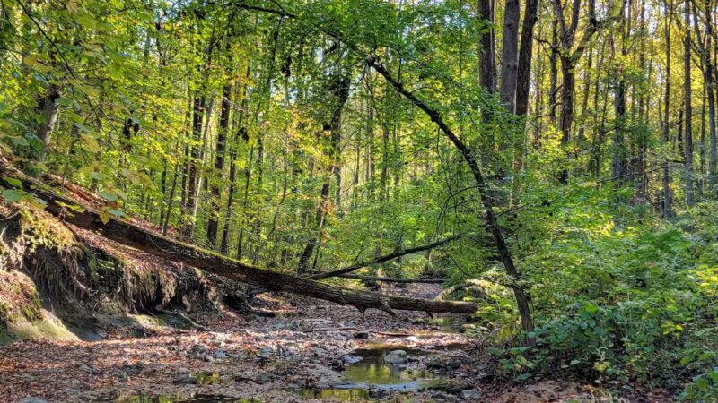 Honeygo Run Regional Park and Community Center - Perry Hall, MD