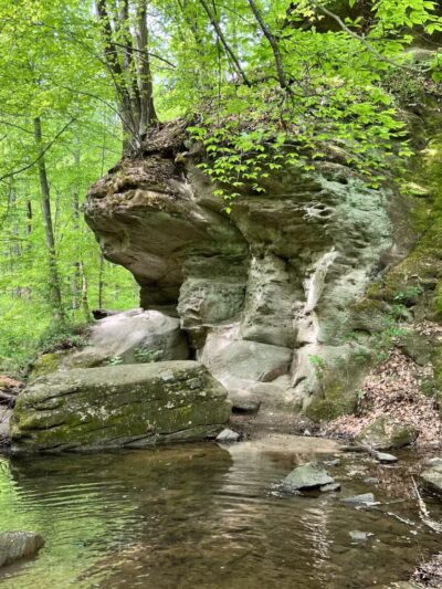 Honeygo Run Regional Park and Community Center - Perry Hall, MD