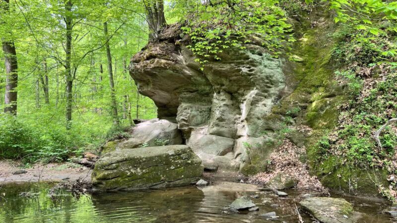 Honeygo Run Regional Park and Community Center - Perry Hall, MD