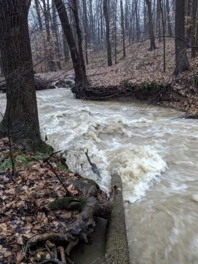 Honeygo Run Regional Park and Community Center - Perry Hall, MD