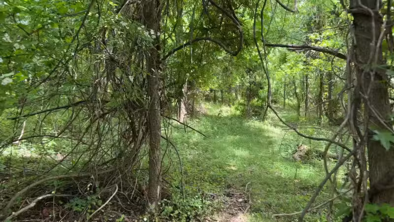 The Trails at Cowenton Ridge Park - Perry Hall, MD