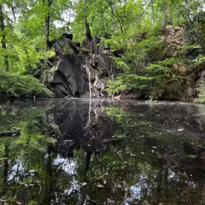 The Trails at Cowenton Ridge Park - Perry Hall, MD