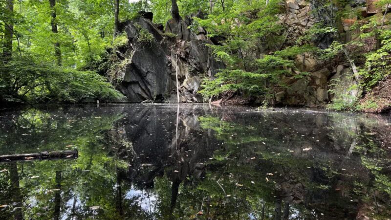 The Trails at Cowenton Ridge Park - Perry Hall, MD