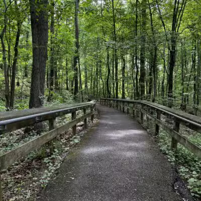 The Trails at Cowenton Ridge Park - Perry Hall, MD