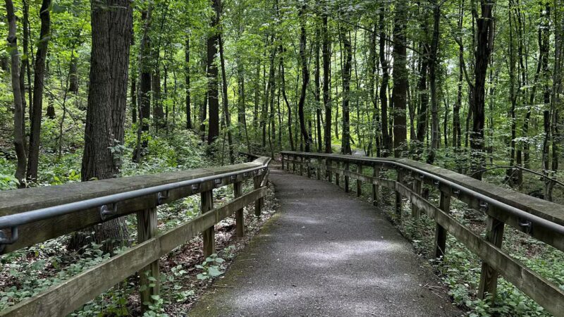 The Trails at Cowenton Ridge Park - Perry Hall, MD