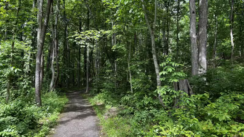 The Trails at Cowenton Ridge Park - Perry Hall, MD