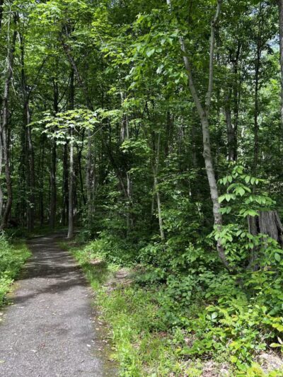 The Trails at Cowenton Ridge Park - Perry Hall, MD