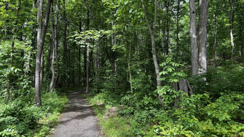 The Trails at Cowenton Ridge Park - Perry Hall, MD