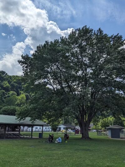 Great Allegheny Passage (GAP) trail access parking Whitsett - Perryopolis, PA
