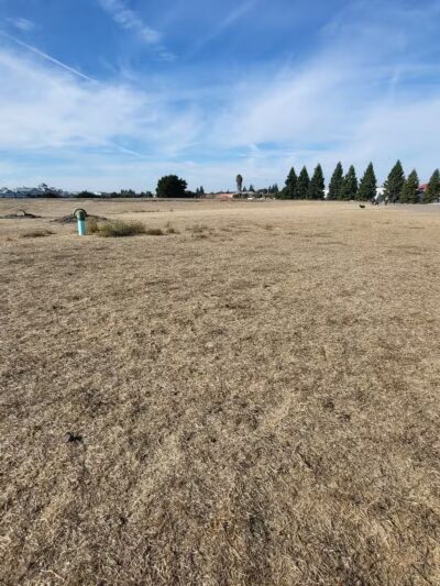Rocky Memorial Dog Park - Petaluma, CA