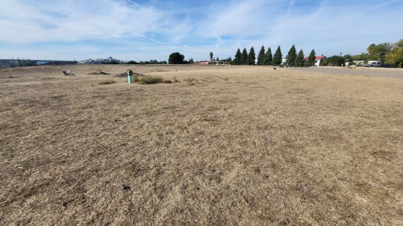 Rocky Memorial Dog Park - Petaluma, CA