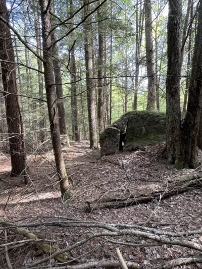 Brooks Woodland Preserve - Petersham, MA