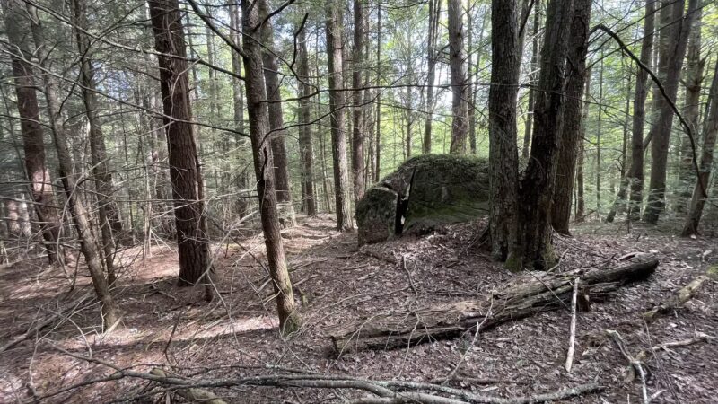 Brooks Woodland Preserve - Petersham, MA