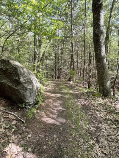 Brooks Woodland Preserve - Petersham, MA