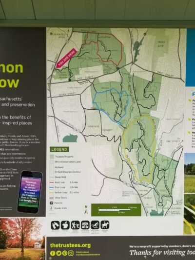 North Common Meadow - Petersham, MA