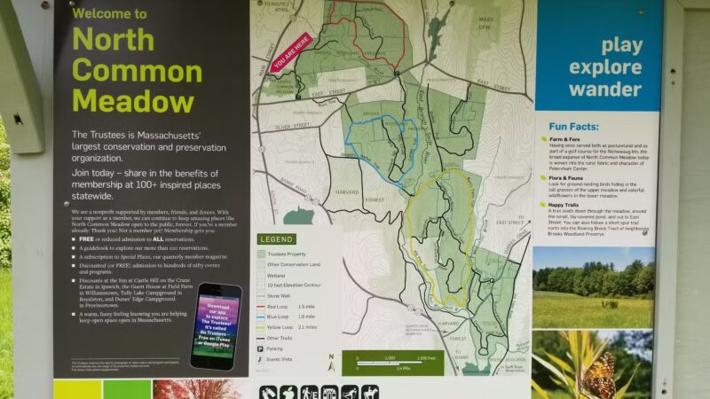 North Common Meadow - Petersham, MA