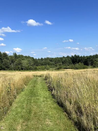 North Common Meadow - Petersham, MA