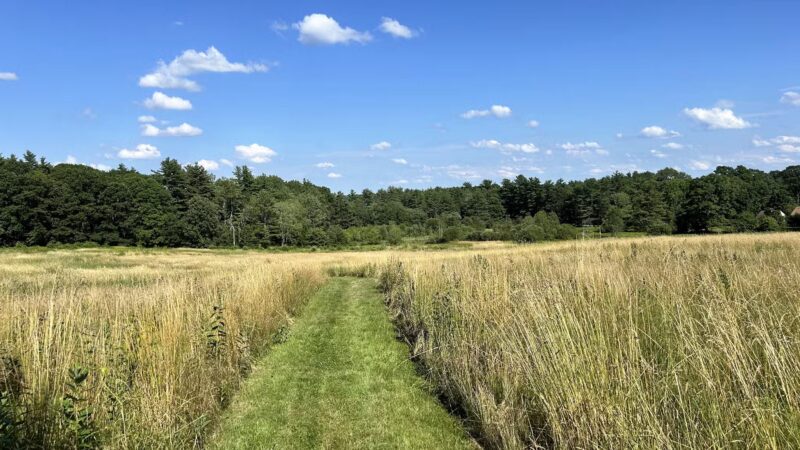 North Common Meadow - Petersham, MA