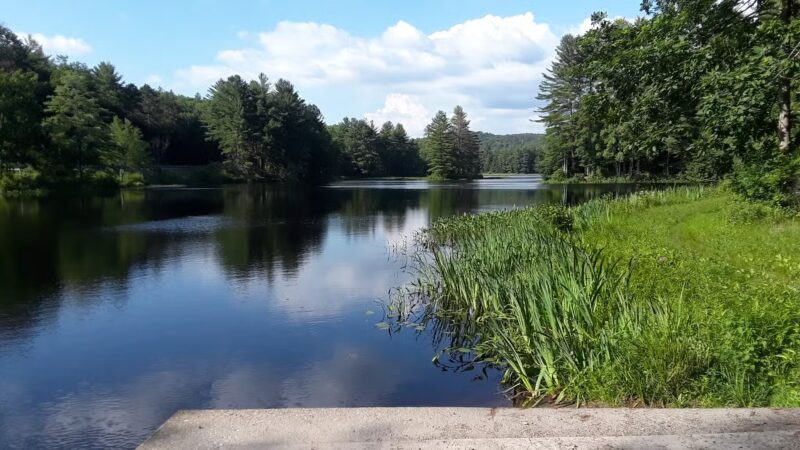 Swift River Reservation - Petersham, MA